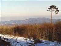 Blick vom Hohen Lindkogel zum Anninger