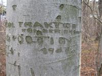 1967