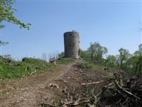 Wilhemswarte