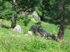 Tierpark Bromberg
