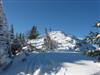 Krummbachstein, Gipfel