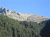 Rosskogel
