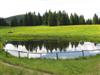 Wechsel