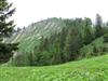 Mittlerer Zellerhut