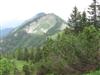 Groer und Mittlerer Zellerhut